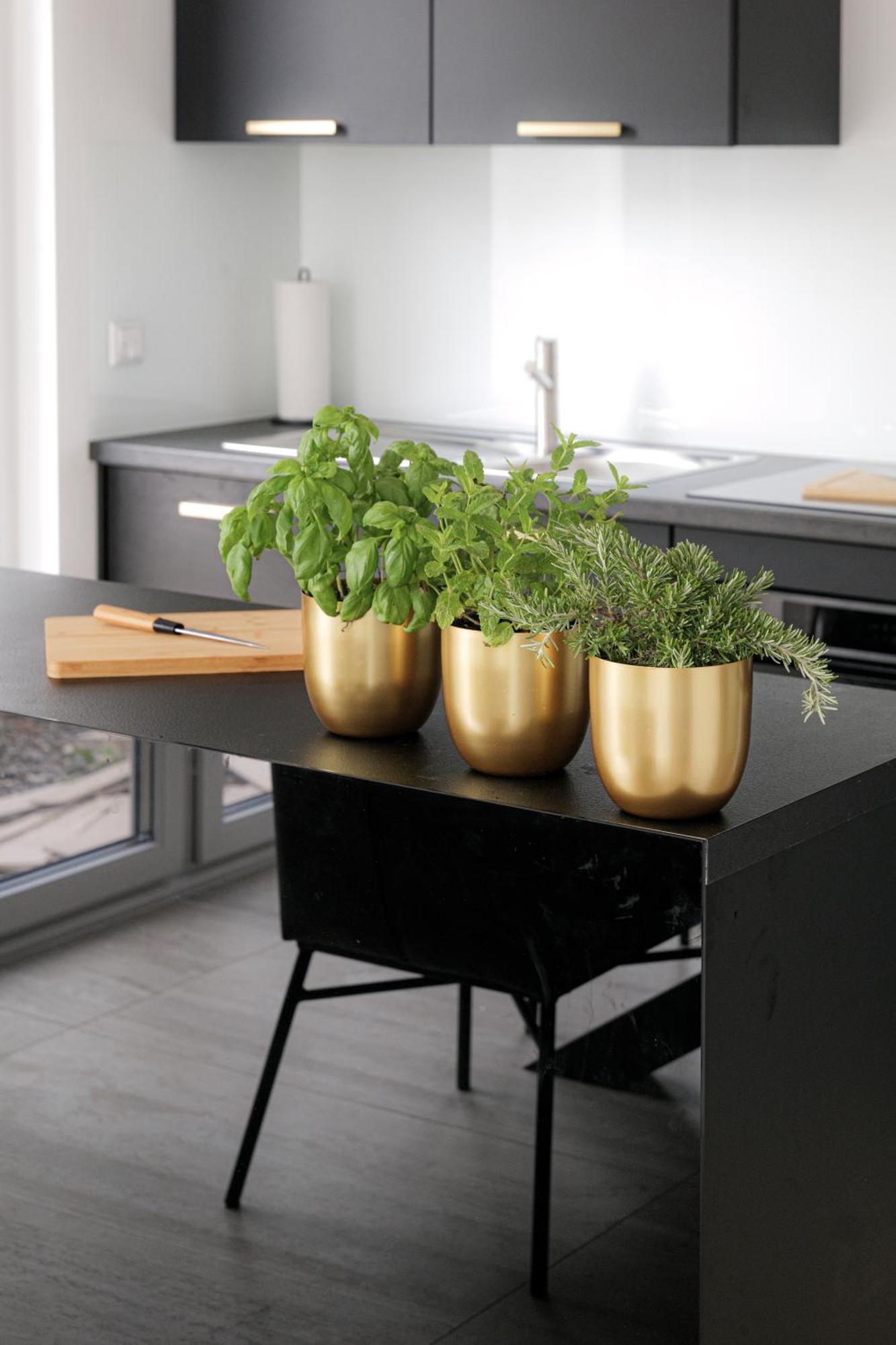 Lulex IV - Traumwohnung Terasse Garten In ノイス エクステリア 写真